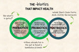 Prebiotics – Probiotics – Postbiotics