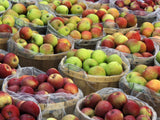 We love apples at gutzy organic!